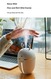 USB mute car office hydrating spray