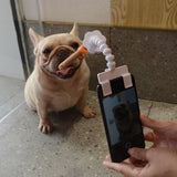 Pet Photo Artifact Cats And Dogs Funny Looking At The Lens Selfie Clip Camera Stand