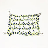 Parrot climbing net