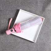 Transparent automatic umbrella