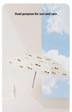 A Group Of Sausage Dog 50 Off Sun Umbrellas