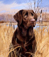 5D DIY Diamond Painting Dog Crystal Diamond Painting Cross Lovely Labrador Dog Animal Needlework Home Decorative