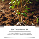 General Nutrition Rooting Powder For Horticultural Plants