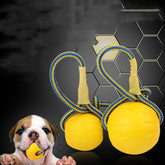EVA Floating Pet Dog Training Ball Puppy Bite Resistant Ball With Rope Pet Training Ball Chew Toys For Pet Supplies