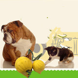 EVA Floating Pet Dog Training Ball Puppy Bite Resistant Ball With Rope Pet Training Ball Chew Toys For Pet Supplies