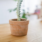 Handmade Small Pottery Pot With Tray Pottery Clay Breathable Flowerpot