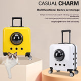 Space Capsule Bag Cat Carry Out Flight Case