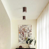 Full Spectrum Ceiling Anti-glare Eye Protection Ceiling Spotlight