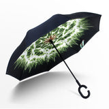 Car reverse umbrella