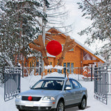 Cars adorn Christmas antlers