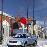 Cars adorn Christmas antlers