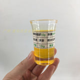 Simulated Food Balanced Nutrition Diet Pagoda Model