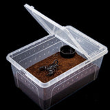 Plastic transparent reptile feeding box