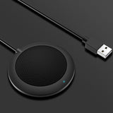 Video conference microphone
