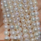 Natural Freshwater Pearl Beading Material